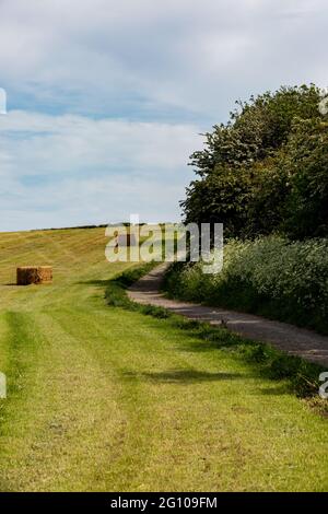 Ein Pfad entlang des Ackerlandes in Sussex, an einem frühen Sommertag Stockfoto