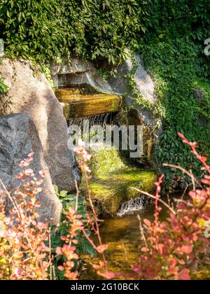 Blick durch rote Büsche über den Wasserfallbrunnen inmitten von kriechendem Grün mit schönem Licht- und Schattenspiel im Sofiyivka Park, Uman. Stockfoto