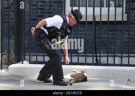 London, England, Großbritannien. Juni 2021. Ein Polizist spielt mit Larry, der Katze des britischen Regierungssitzes Downing Street. Kredit: Tayfun Salci/ZUMA Wire/Alamy Live Nachrichten Stockfoto