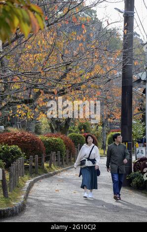 KYOTO, JAPAN - 10. Dez 2019: Kyoto, Japan- 24. Nov 2019: Touristen beobachten Herbstfarben entlang des Philosophenpfades in Kyoto. Stockfoto