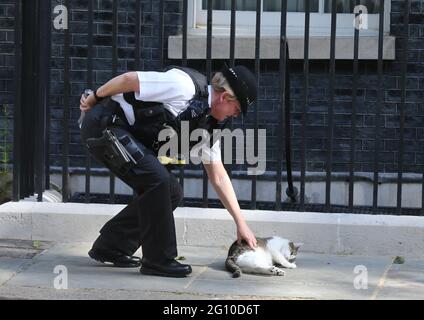 London, England, Großbritannien. Juni 2021. Ein Polizist spielt mit Larry, der Katze des britischen Regierungssitzes Downing Street. Kredit: Tayfun Salci/ZUMA Wire/Alamy Live Nachrichten Stockfoto