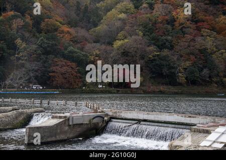 KYOTO, JAPAN - 11. Dez 2019: Kyoto, Japan-26. Nov 2019: Katsuragawa-Fluss mit farbenprächtiger Waldlandschaft im Arashiyama-Distrikt, Kyoto Stockfoto