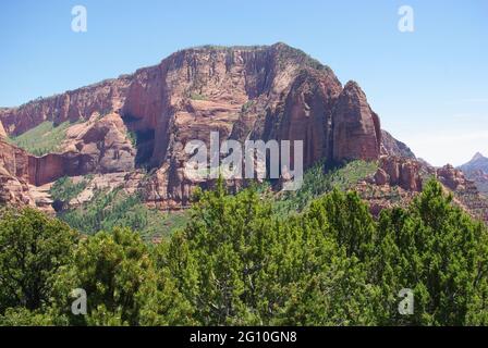 Kolob Canyons, Zion Nationalpark, Utah, USA Stockfoto