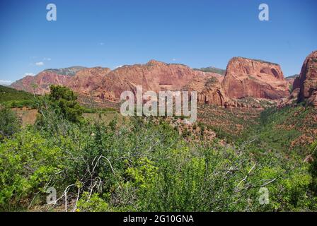 Kolob Canyons, Zion Nationalpark, Utah, USA Stockfoto