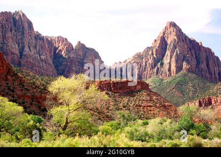 Gipfel in den Kolob Canyons, Zion National Park, Utah, USA Stockfoto