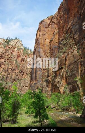 Steile Canyon-Wände über dem Zion River, Zion National Park, USA Stockfoto