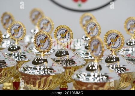 Dortmund, Deutschland. Juni 2021. Finale 2021 - Taekwondo in der Helmut-Körnig-Halle: Die Pokale werden auf einem Tisch in der Halle platziert. Quelle: Bernd Thissen/dpa/Alamy Live News Stockfoto