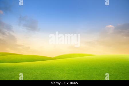 Feld von grünem frischem Gras bei Sonnenuntergang oder Sonnenlicht. Stockfoto