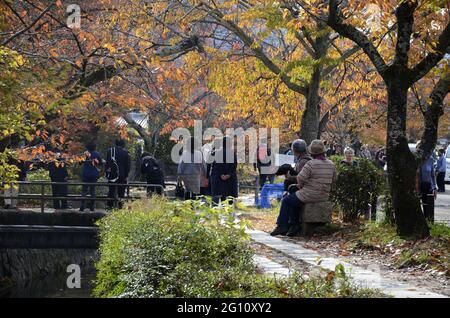 KYOTO, JAPAN - 10. Dez 2019: Kyoto, Japan- 24. Nov 2019: Touristen beobachten Herbstfarben entlang des Philosophenpfades in Kyoto. Stockfoto