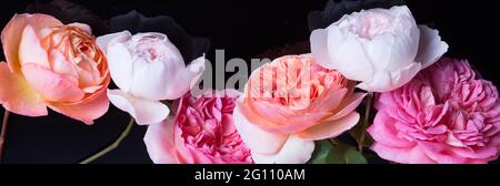 Collage aus zarten rosa Rosen isoliert auf schwarzem Hintergrund Stockfoto