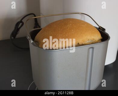 Frisch gebackenes Brot in einer elektrischen Brotmaschine Stockfoto