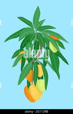 Mango-Obstbaum Zweig mit Fond und Blättern auf blauem Hintergrund. Handgezeichnete Vektorgrafik in Orange und Grün Stock Vektor