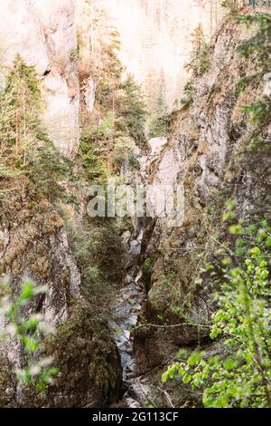 Porträt eines molligen Wanderers mit schönen dunklen langen Haaren und sportlicher Jacke Stockfoto