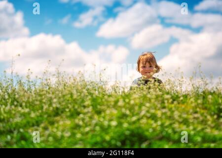 Glücklicher kleiner Junge, der Frühlingsgras mit Gänseblümchen auf einem Feld genießt Stockfoto