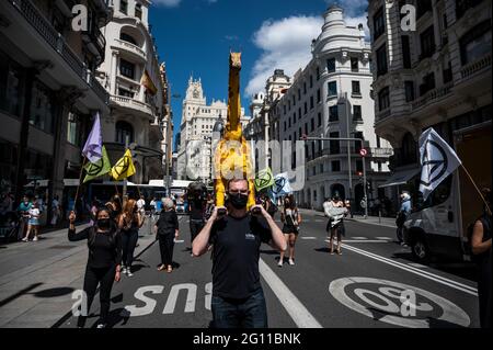 Madrid, Spanien. Juni 2021. Klimaaktivisten der Extinction Rebellion-Gruppe marschieren mit Tierskulpturen durch die Gran Via Street, um den Verkehr zu blockieren und fordern, dass Ökozid (Zerstörung von Ökosystemen und die irreversiblen Schäden der Umwelt) zu einem internationalen Verbrechen wird. Quelle: Marcos del Mazo/Alamy Live News Stockfoto