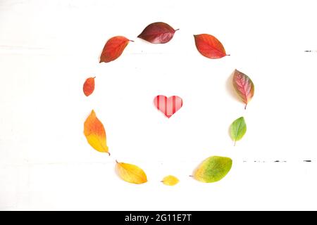 Kreis aus bunten Herbstblättern mit rotem Herz im Kreis, Layout für Design auf einem weißen Holzhintergrund. Hochwertige Fotos Stockfoto