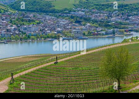 Weinberg und Stadt Bingen, vom Niederwalddenkmal aus gesehen, Rheintal, Zusammenfluss von Rhein und nahe FlussRheinland-Pfalz, Deutschland Stockfoto