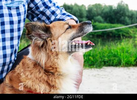 Mann und Hund sitzen auf Holzsteg. Urlaub mit Tierkonzept. Stockfoto
