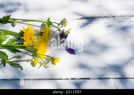 Bouquet von wilden Blumen Delelions gelb aquilegia lila auf einem hölzernen weißen Tisch Stockfoto