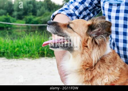 Mann und Hund sitzen auf Holzsteg. Urlaub mit Tierkonzept. Stockfoto