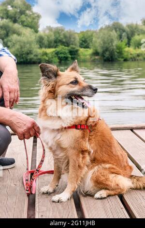 Man and his dog sitting on wooden pier. Holiday with an animal concept. Summer time Stockfoto