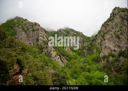 Zerklüftete, felsige Berggipfel, mit einigen Baumbeeten und tief liegenden Wolken, die die Gipfel bedecken Stockfoto
