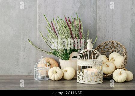 Autumn floral arrangement with white and violet heather (calluna vulgaris), baby boo pumpkins and candles inside the vintage bird cages. Stock Photo