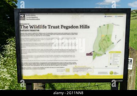Pegsdon Hills and Hoo Bit Nature Reserve, Bedfordshire, Vereinigtes Königreich, Stockfoto