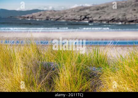 Sanddünen am Achnahaird-Strand auf der Halbinsel Assynt im Nordwesten Schottlands Stockfoto