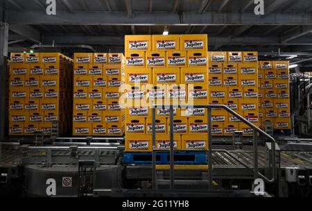 ACHTUNG REDAKTEURE - BELGA WIRD VON ab INBEV um EINE BERICHTERSTATTUNG gebeten - NUR REDAKTIONELLE VERWENDUNG das Bild zeigt Kisten mit Jupiler-Bier beim Jupiler-Bier Stockfoto