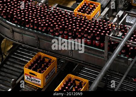 ACHTUNG REDAKTEURE - BELGA WIRD VON ab INBEV um EINE BERICHTERSTATTUNG gebeten - NUR REDAKTIONELLE VERWENDUNG das Bild zeigt Kisten mit Jupiler-Bier beim Jupiler-Bier Stockfoto