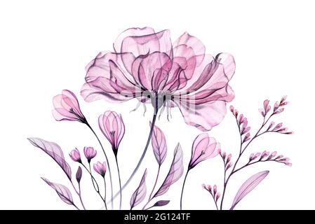 Florales Kunstwerk mit Rose in Pink. Aquarellbanner. Handbemalter Blumenstrauß mit durchsichtiger violetter Blume und auf Weiß isolierten Blättern. Zusammenfassung Stockfoto