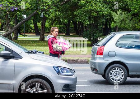 Argentinien Buenos Aires Palermo Parque 3 de Febrero Bosques de Palermo Stadtpark Avenida Sarmiento Straße Blume Verkäufer Hausierer Hawker Hispani Stockfoto