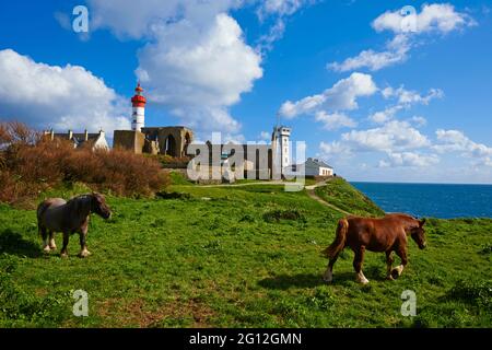 Frankreich, Briitany, Finistere, Plougonvelin, Leuchtturm an der Pointe Saint Mathieu Stockfoto