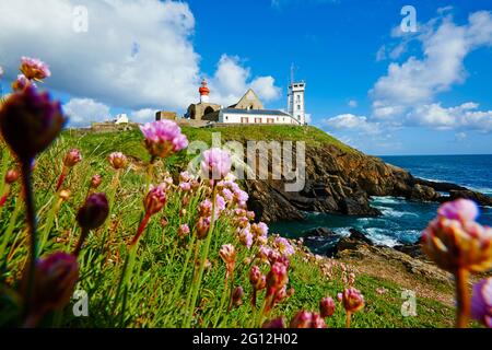 Frankreich, Briitany, Finistere, Plougonvelin, Leuchtturm an der Pointe Saint Mathieu Stockfoto