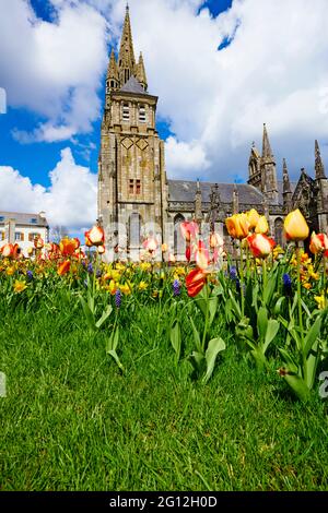 Frankreich, Bretagne, Finistere, Le Folgoet, Kathedrale Notre Dame Stockfoto