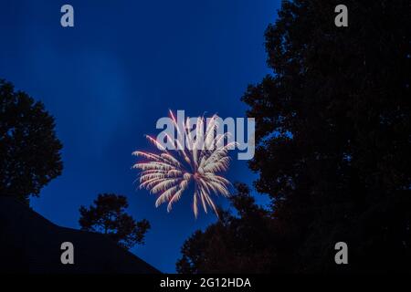 Feuerwerk am 4. Juli Feier im Himmel über dem Dach und Baumwipfel in der Wohngegend in der Nacht mit den Sternen und Wolke in t Stockfoto