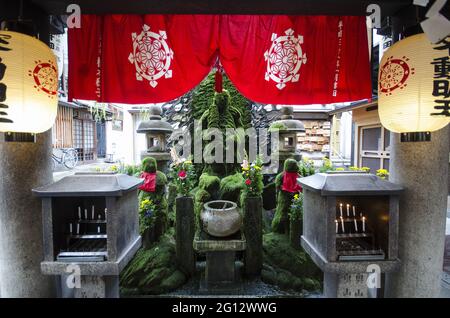 OSAKA, JAPAN - 24. Dez 2019: Osaka, Japan - 28. Nov 2019: Fudo bedeckt mit Moos und Wasserauswaschung in Hozenji, Osaka. Stockfoto