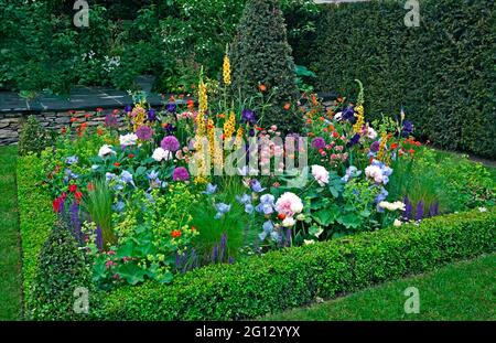 Ein voller und farbenfroher Blumenrand in einem Clipped Box-Display Stockfoto