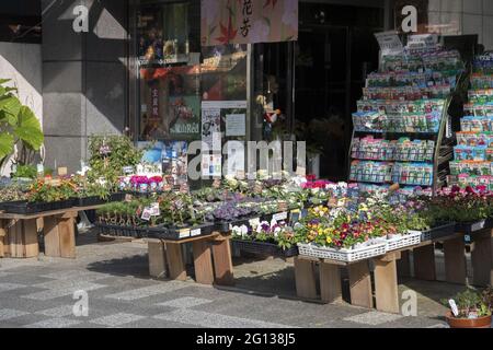 KYOTO, JAPAN - 11. Dez 2019: Kyoto, Japan-26. Nov 2019: Blumenladen auf der Straßenseite von Kyoto Japan Stockfoto