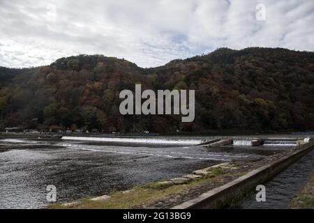 KYOTO, JAPAN - 11. Dez 2019: Kyoto, Japan-26. Nov 2019: Katsuragawa-Fluss mit farbenprächtiger Waldlandschaft im Arashiyama-Distrikt, Kyoto Stockfoto