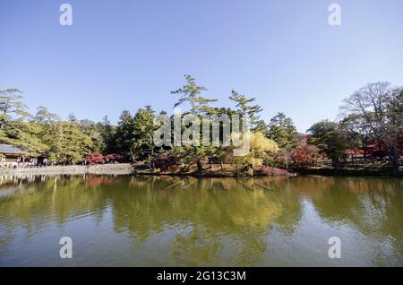 NARA, JAPAN - 24. Dez 2019: Nara, Japan- 27. Nov 2019: Blick auf den Kagamiike-Teich und den Todaiji. Es ist ein schöner Teich vor dem Großen Buddha Stockfoto