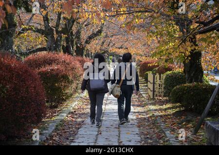 KYOTO, JAPAN - 10. Dez 2019: Kyoto, Japan- 24. Nov 2019: Touristen beobachten Herbstfarben entlang des Philosophenpfades in Kyoto. Stockfoto