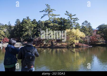 KYOTO, JAPAN - 24. Dez 2019: Nara, Japan- 27. Nov 2019: Blick auf den Kagamiike-Teich und den Todaiji. Es ist ein schöner Teich vor dem Großen Buddh Stockfoto