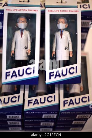Dr. Anthony Fauci Action-Figuren. Dr. Fauci ist Direktor des US-amerikanischen National Institute of Allergy and Infectious Diseases. Stockfoto