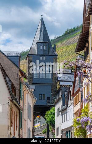 Kleiner Wein.Handelsstadt Bacharach, Oberes Mittelrheintal, UNESCO-Weltkulturerbe, Rheinland-Pfalz, Deutschland Stockfoto