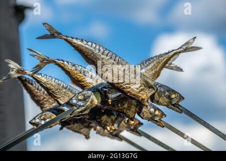 steckerlfisch ist eine bayerische Grillspezialität, ein frischer Vollfisch wird auf einem Stock über einem offenen Lagerfeuer geröstet. steckerlfisch ist Fisch, der auf einem Stock gegrillt wird Stockfoto