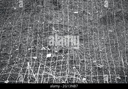 Distressed Overlay Textur von Steinen, Felsen, Kieselsteinen, Macadam innerhalb der metallischen Mesh, Netz. Grunge Hintergrund. Abstrakte Halbton Vektor-Illustration Stock Vektor