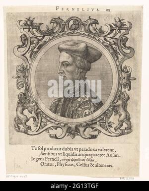 Porträt von Johannes Fernelius; Porträts klassischer und neuerer Philosophen und Ärzte. Ein Porträt mit einer runden Liste von Johannes Fernelius (Jean Francois Fernel), die Hoforts von Frans I. Bust links. Die Porträtkartusche zeigt eine Eule in der Mitte, links und rechts zwei Katzen. Unten links von einem stehenden Löwen und unten rechts von einem stehenden Bären. Unter der Kartusche ist eine lateinische Beschriftung von vier Zeilen zu sehen. Über der Kartusche der Name der porträtierten Person. Stockfoto