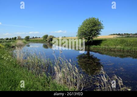 Royal Military Canal am Romney Marsh unterhalb von Hamstreet, Ashford, Kent, England, Vereinigtes Königreich Stockfoto